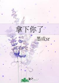 拿下你了墨成sr番外