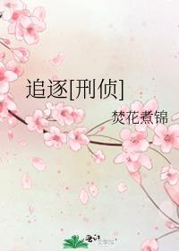 追逐完整版