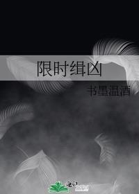 限时缉凶书墨温酒