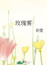 玫瑰雾txt盘