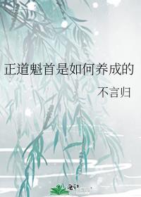 我当正道魁首