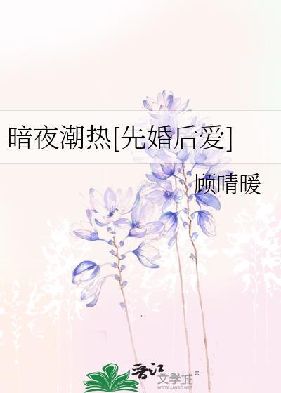 暗夜热潮顾晴暖TXT