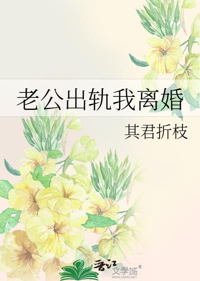 老公出轨我离婚免费阅读