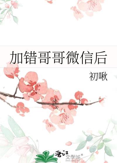 加错哥微信后全文TXT