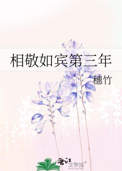 相敬如宾第三年笔趣阁番外