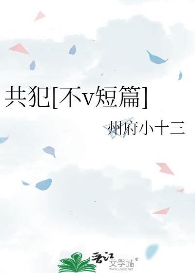 共犯在线阅读