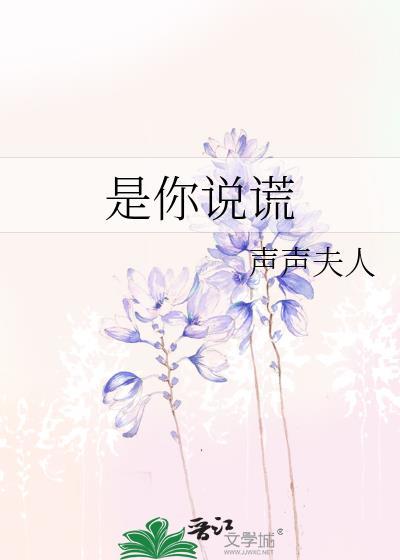 是你说谎在线阅读