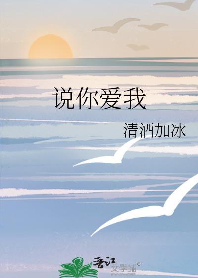 说你爱我清酒加冰