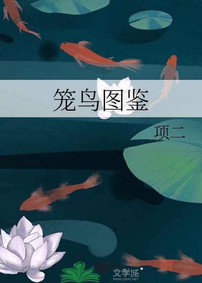 笼鸟图鉴txt李暮夕