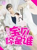 宝贝你是谁32章