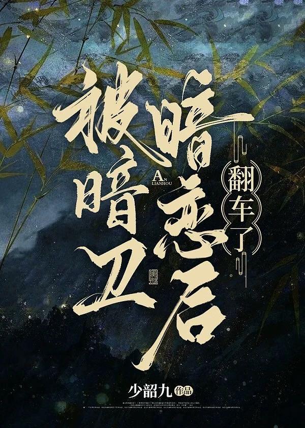 暗卫被所有人疼爱了by曲书宁所著