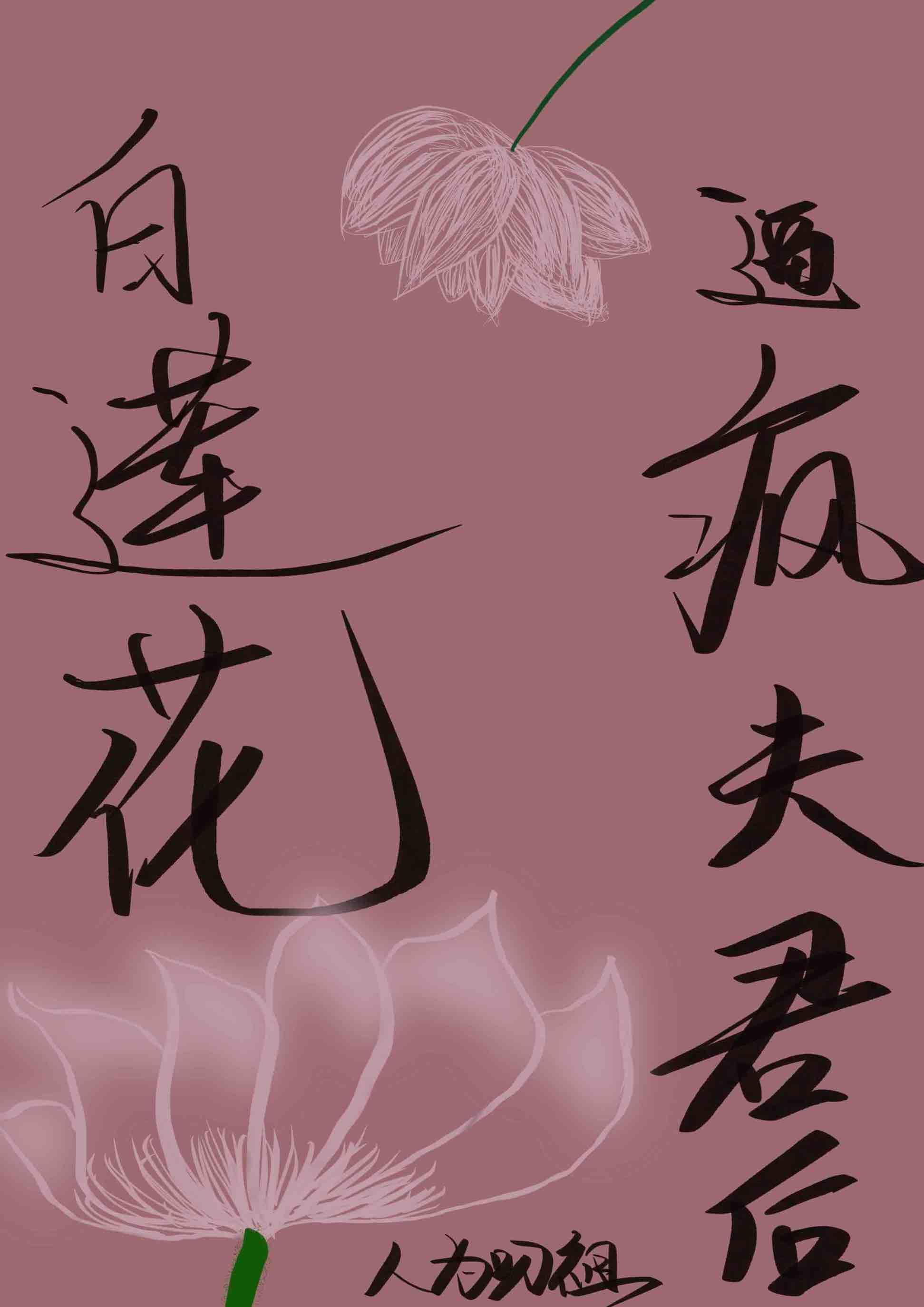 白莲花人