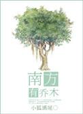 北方有佳人
