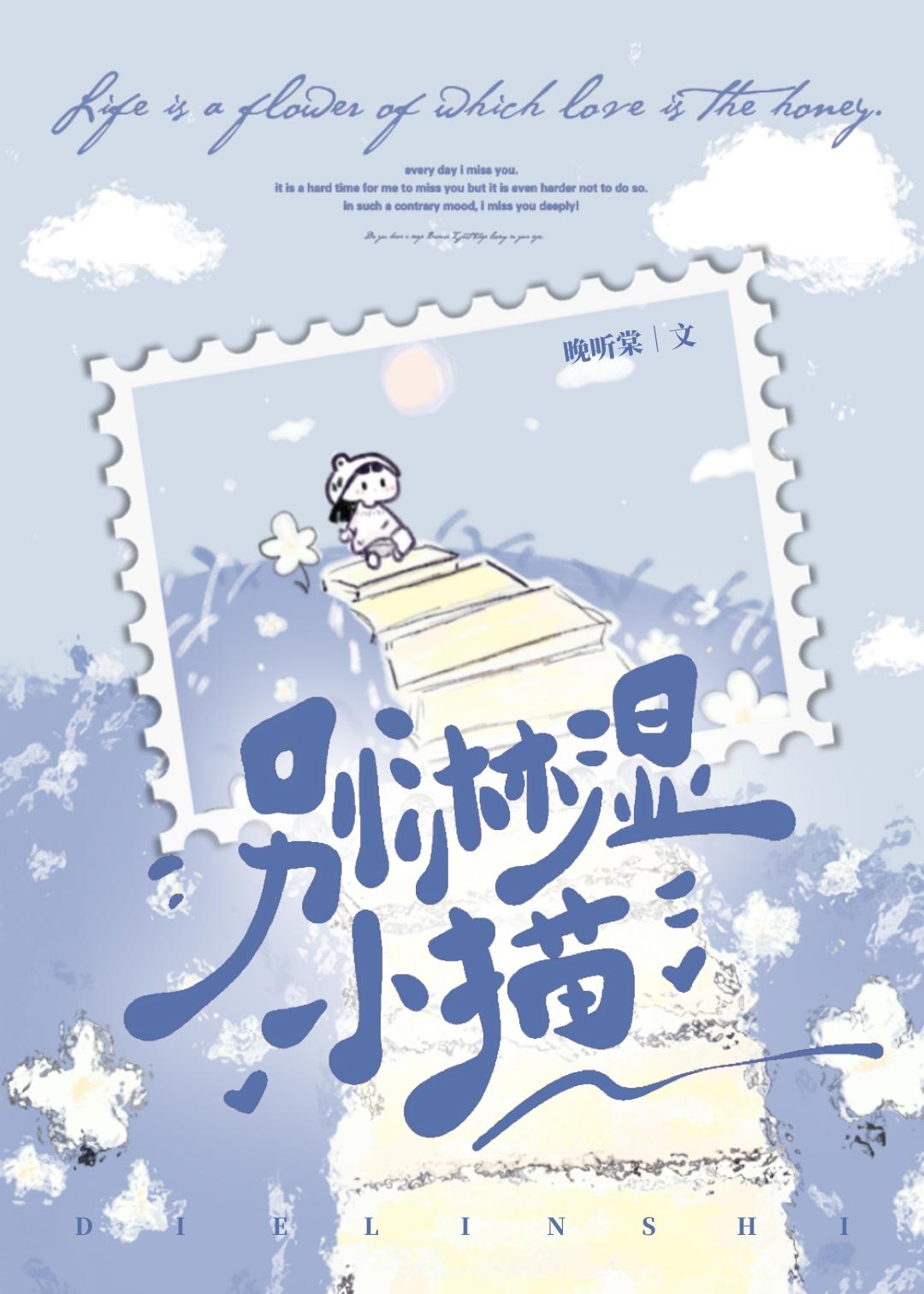 小猫被淋湿怎么办