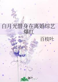 白月光替身在离婚综艺爆红 晋江