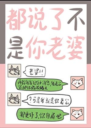 歌词你也不是我老婆