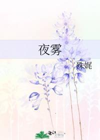 夜雾txt百度