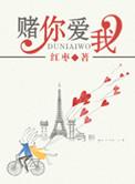 我赌你爱我可是我输了歌词完整版