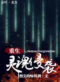 灵魂侵袭重生txt