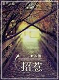 招惹电视剧免费观看