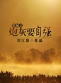 穿越之炮灰在九十年代