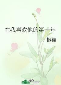 在我喜欢他的第十年盘