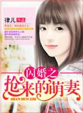 闪婚萌娇妻