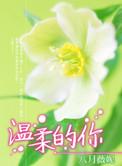 温柔的你粤语歌词