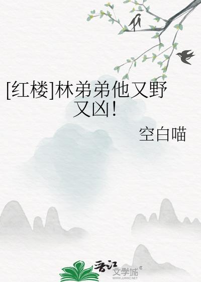 红楼之林弟弟