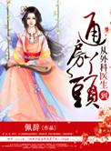 从外科医生到市委书TXT