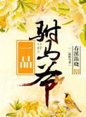 一品驸马爷短剧