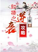 红楼之逆袭攻略epub
