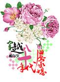 穿越八十年代农妇全文免费阅读