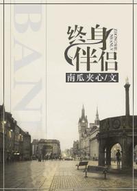 终身伴侣剧透
