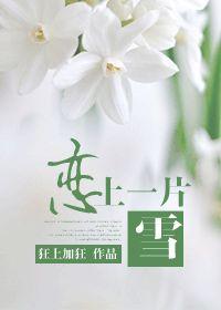 恋上一片雪讲的什么