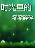 时光里的零碎碎全文