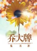 乔大牌微博补文在哪里可以看