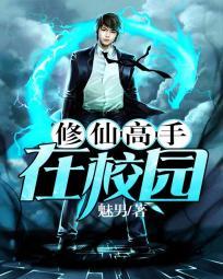 修仙高手在校园林凡