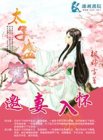 盛宠太子妃上中下