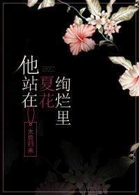 他站在夏花绚烂有没有出书
