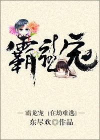 霸龙宠凤李世民百度