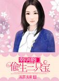 一胎三宝豪门替孕妻钟浈