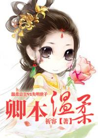 卿本情琛免费阅读全文