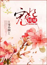 宠妃章节