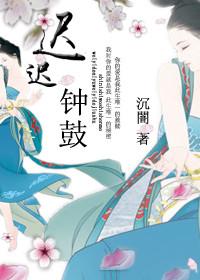 迟迟钟鼓初长夜歌词