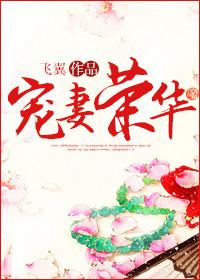 宠妻荣华全文免费阅读无弹窗