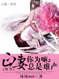 正妻bymnbvcxz讲的是什么