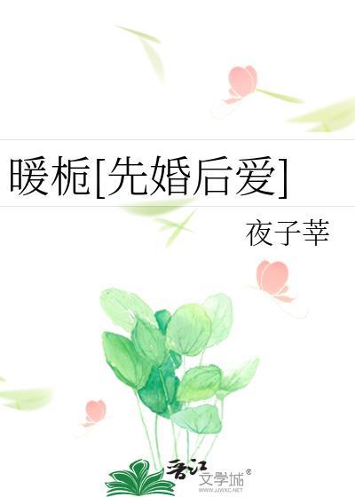 暖栀[先婚后爱