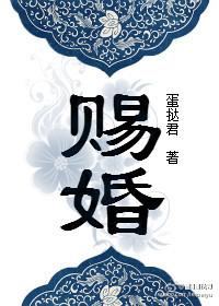 赐婚免费阅读在线