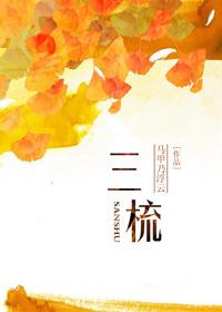 三梳七宝酥txt番外